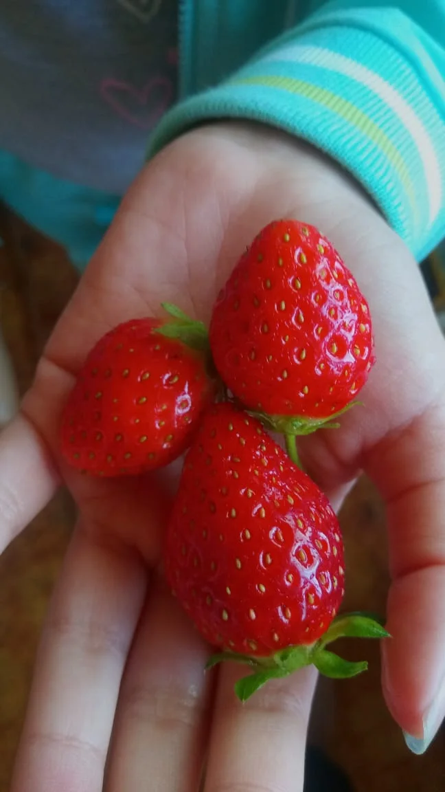 WhatsApp Image 2020-08-03 at 10.08.29.webp