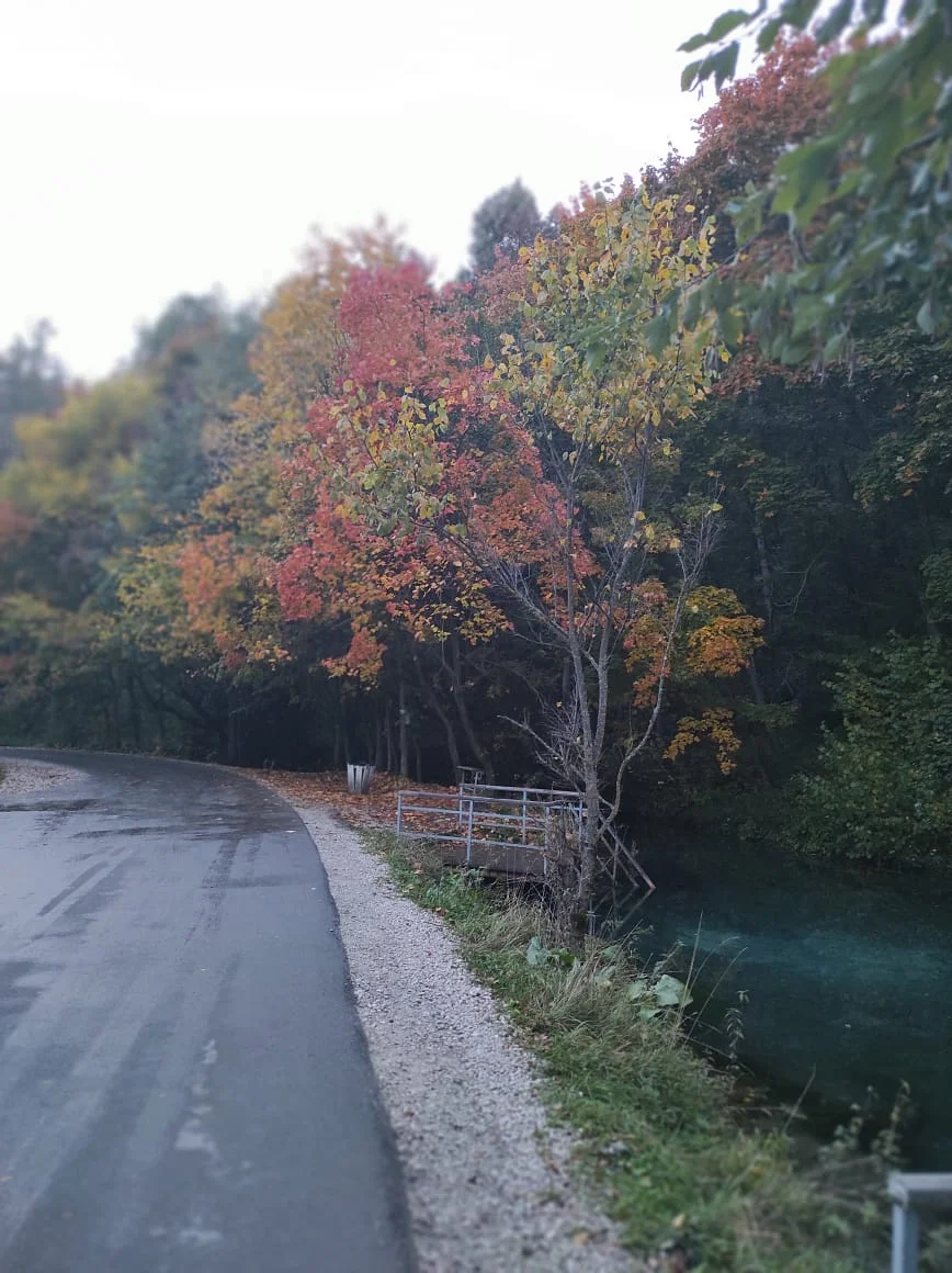 WhatsApp Image 2020-09-21 at 10.06.48.webp