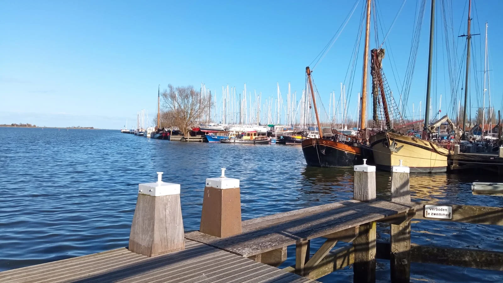 WhatsApp Image 2021-03-05 at 18.02.09.webp