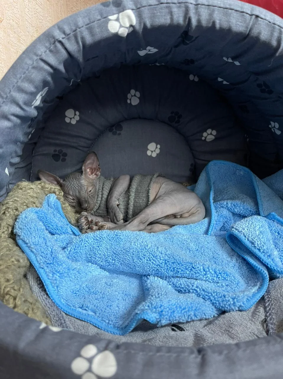 WhatsApp Image 2021-03-13 at 14.28.04.webp