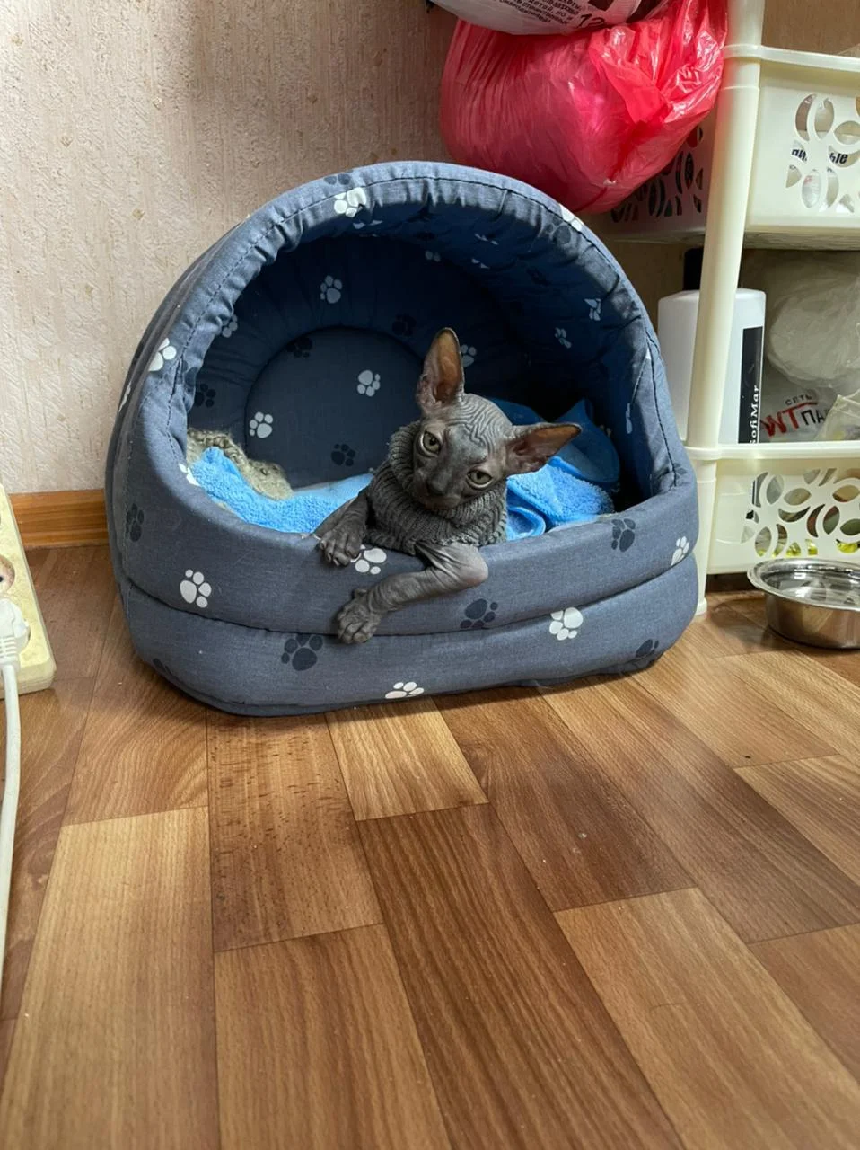 WhatsApp Image 2021-03-13 at 14.28.16 (1).webp