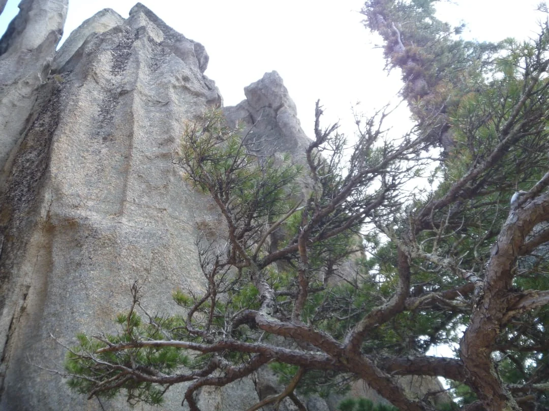 WhatsApp Image 2021-05-07 at 19.32.52 (2).webp