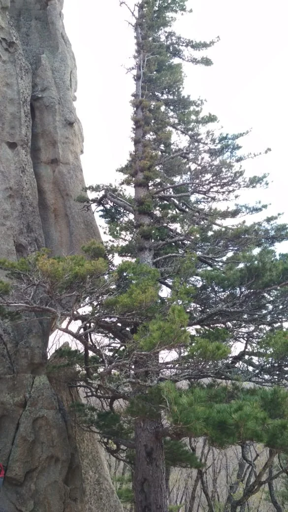 WhatsApp Image 2021-05-07 at 19.32.57 (1).webp