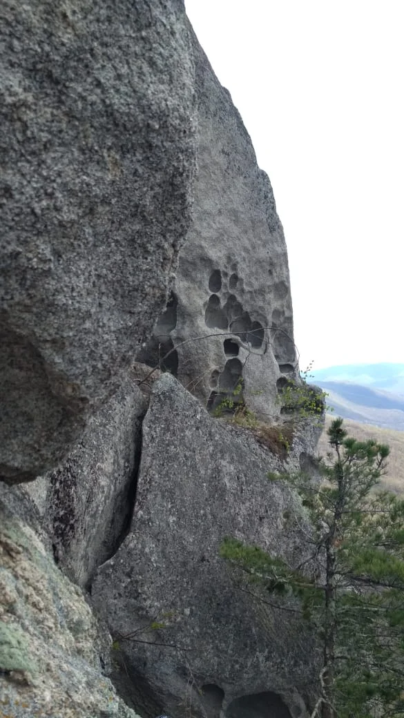 WhatsApp Image 2021-05-07 at 19.32.58.webp