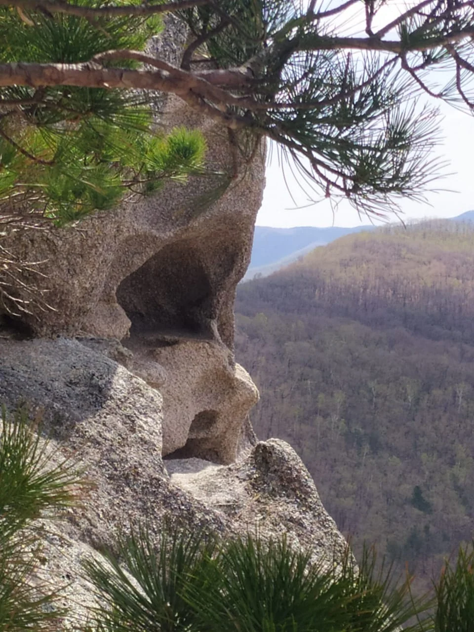 WhatsApp Image 2021-05-07 at 19.33.01.webp