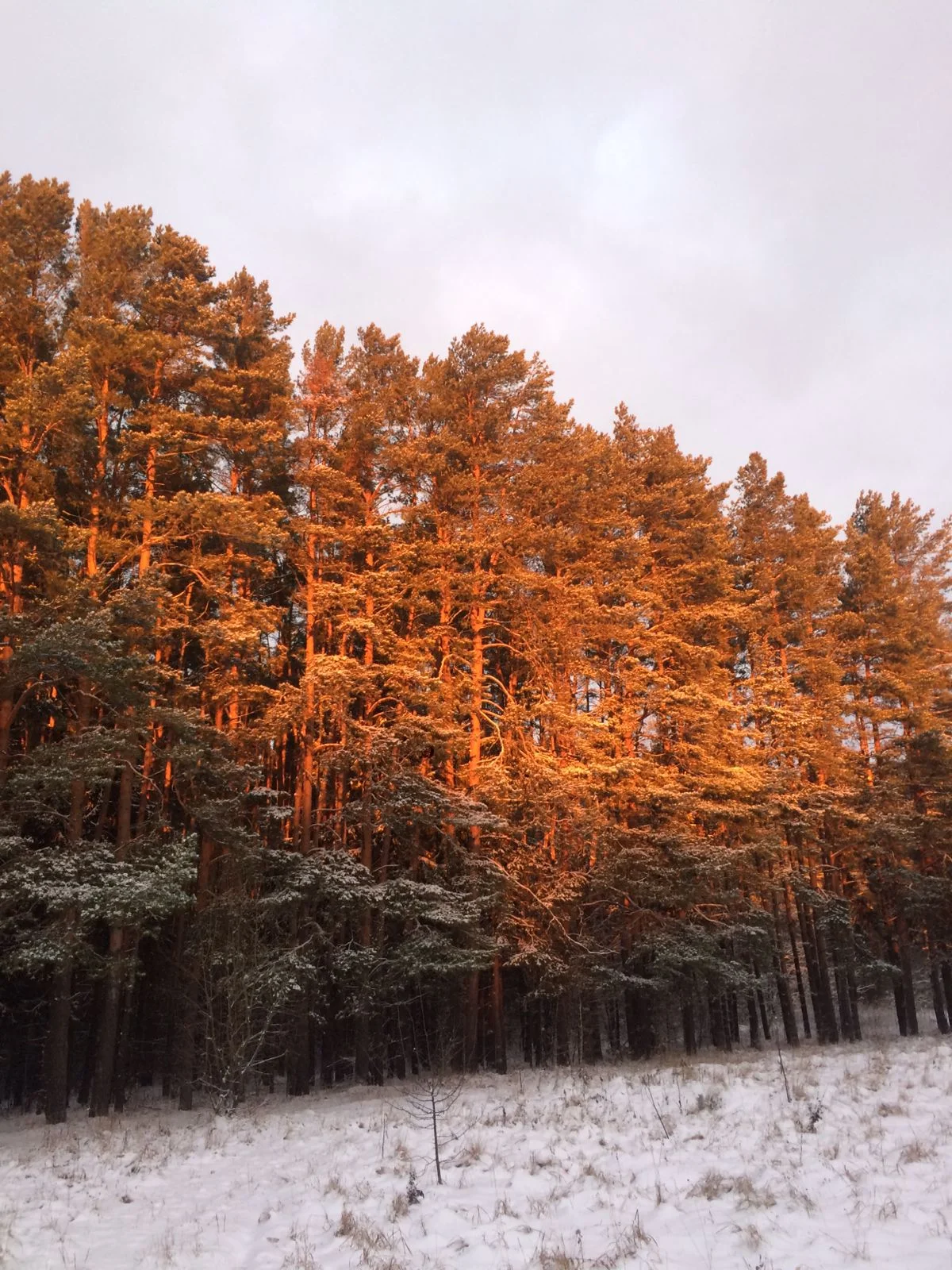 WhatsApp Image 2021-12-01 at 09.36.14.webp