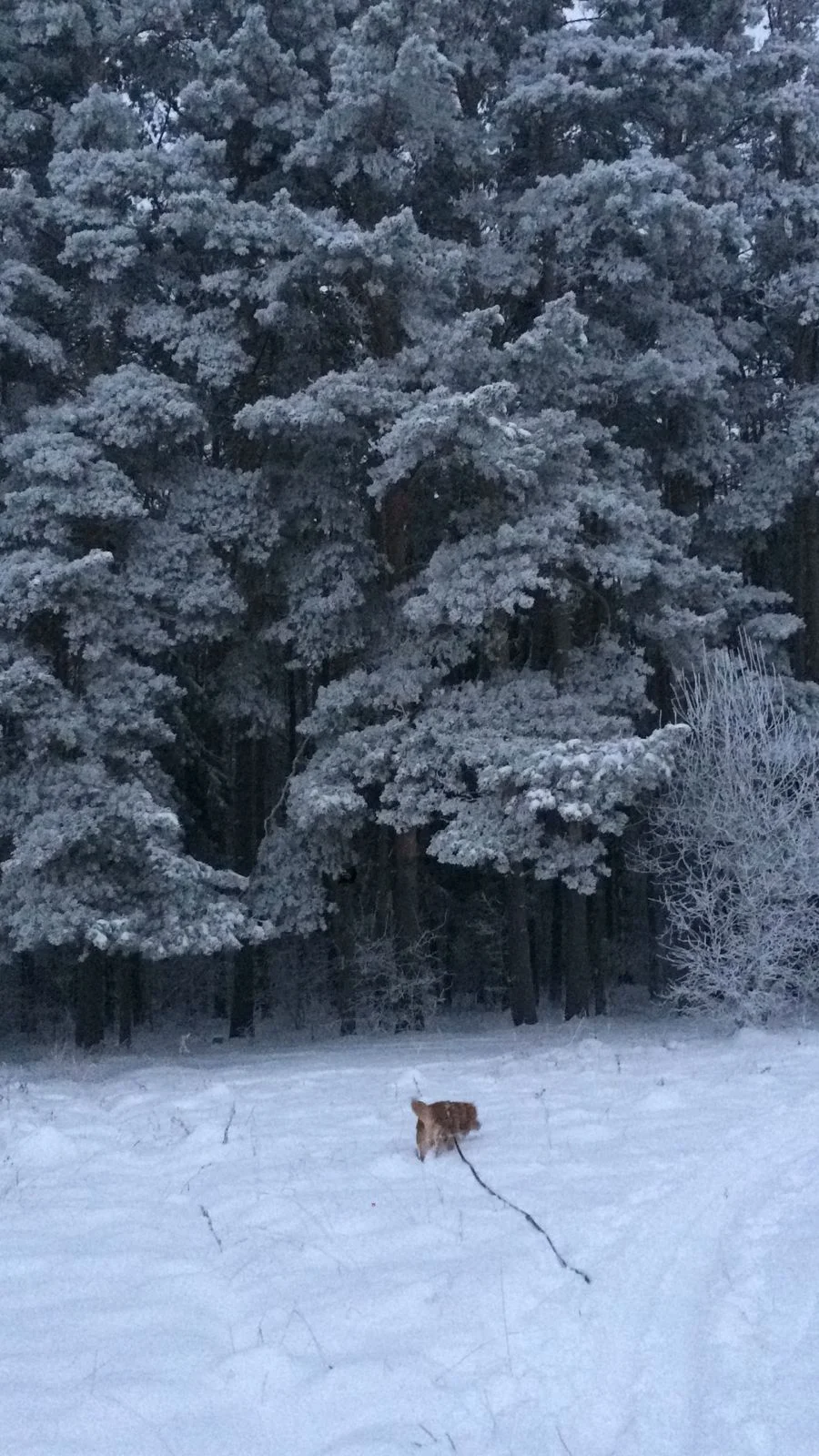 WhatsApp Image 2021-12-12 at 08.33.54.webp