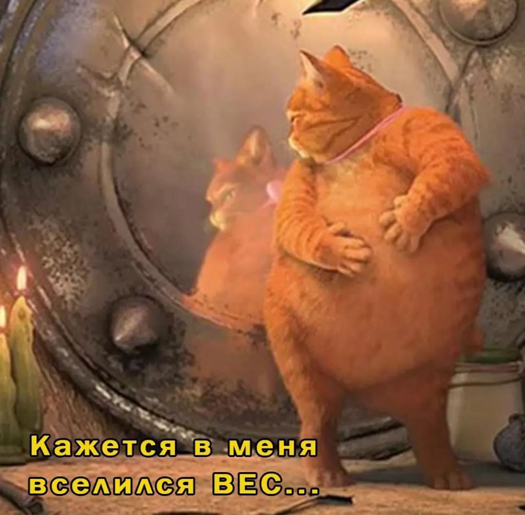 WhatsApp Image 2022-01-15 at 09.38.55.jpeg