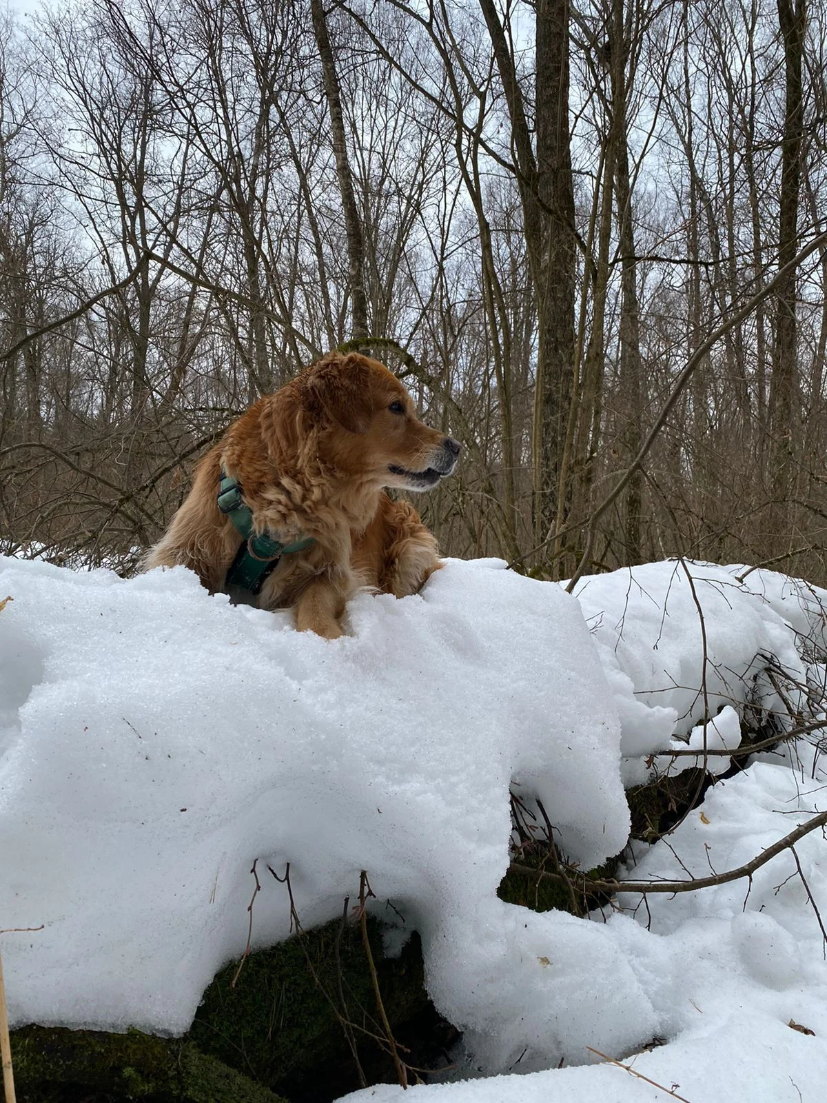 WhatsApp Image 2022-02-24 at 20.18.58 (1).webp