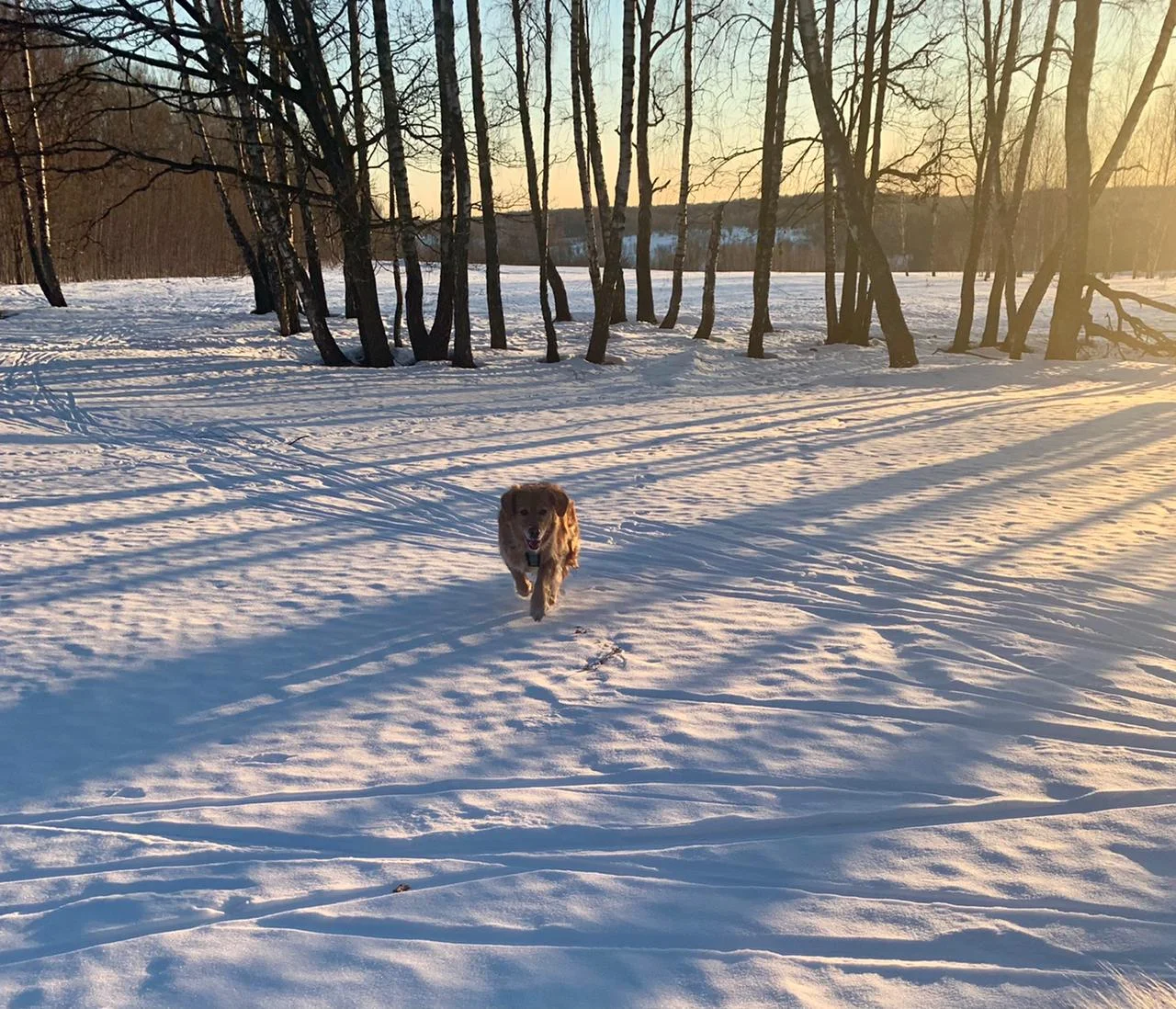 WhatsApp Image 2022-03-10 at 19.02.58.webp