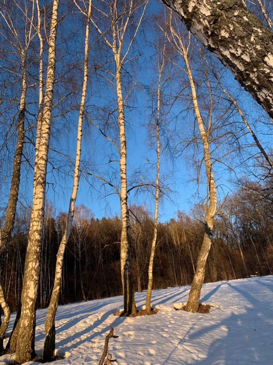 WhatsApp Image 2022-03-11 at 19.14.42.webp