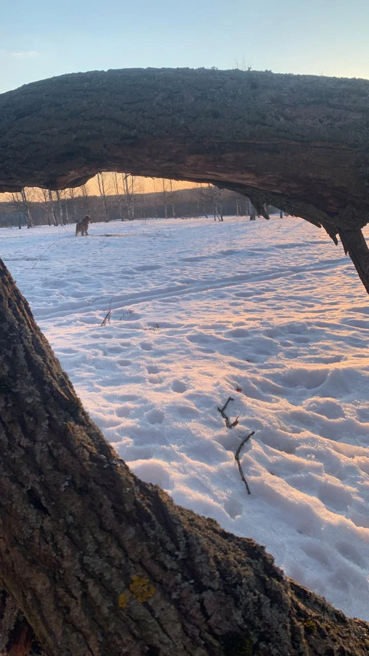 WhatsApp Image 2022-03-16 at 18.02.28.webp