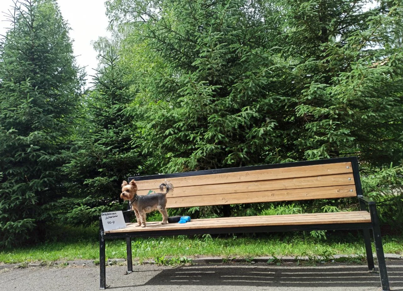 WhatsApp Image 2022-06-09 at 18.03.47.webp