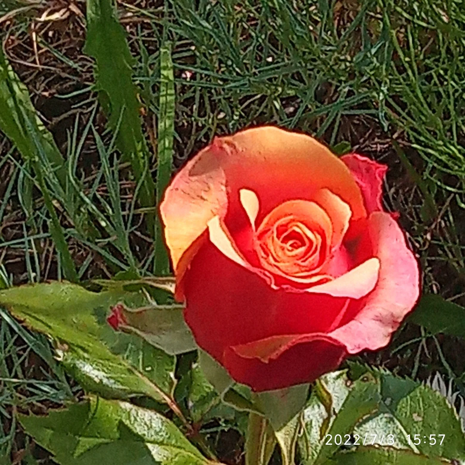 WhatsApp Image 2022-07-03 at 16.07.20.webp