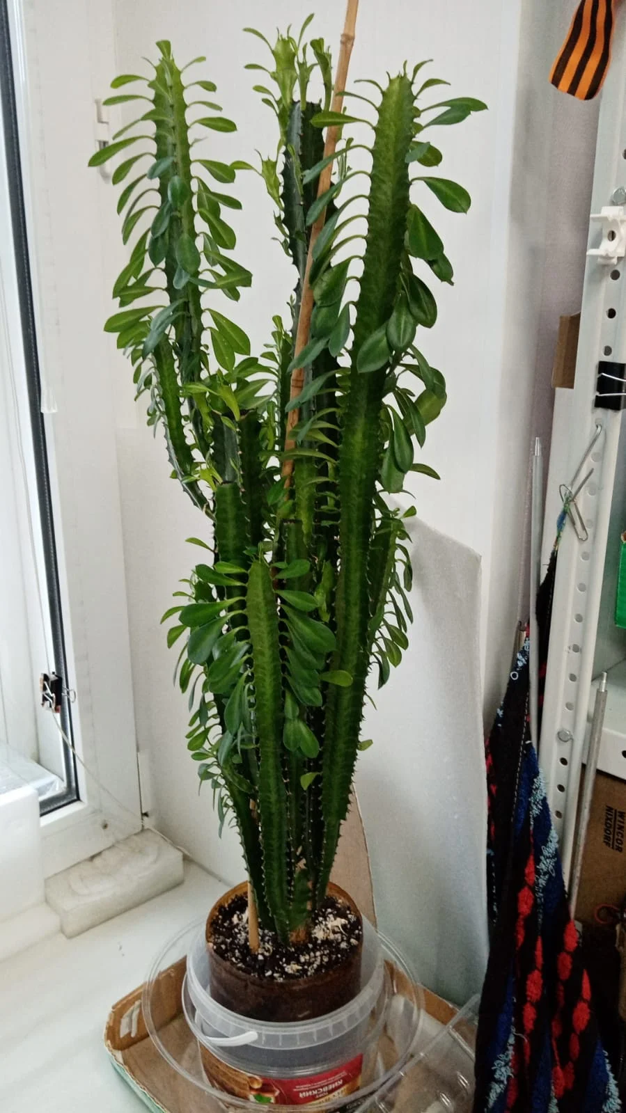 WhatsApp Image 2022-12-02 at 15.53.11.webp