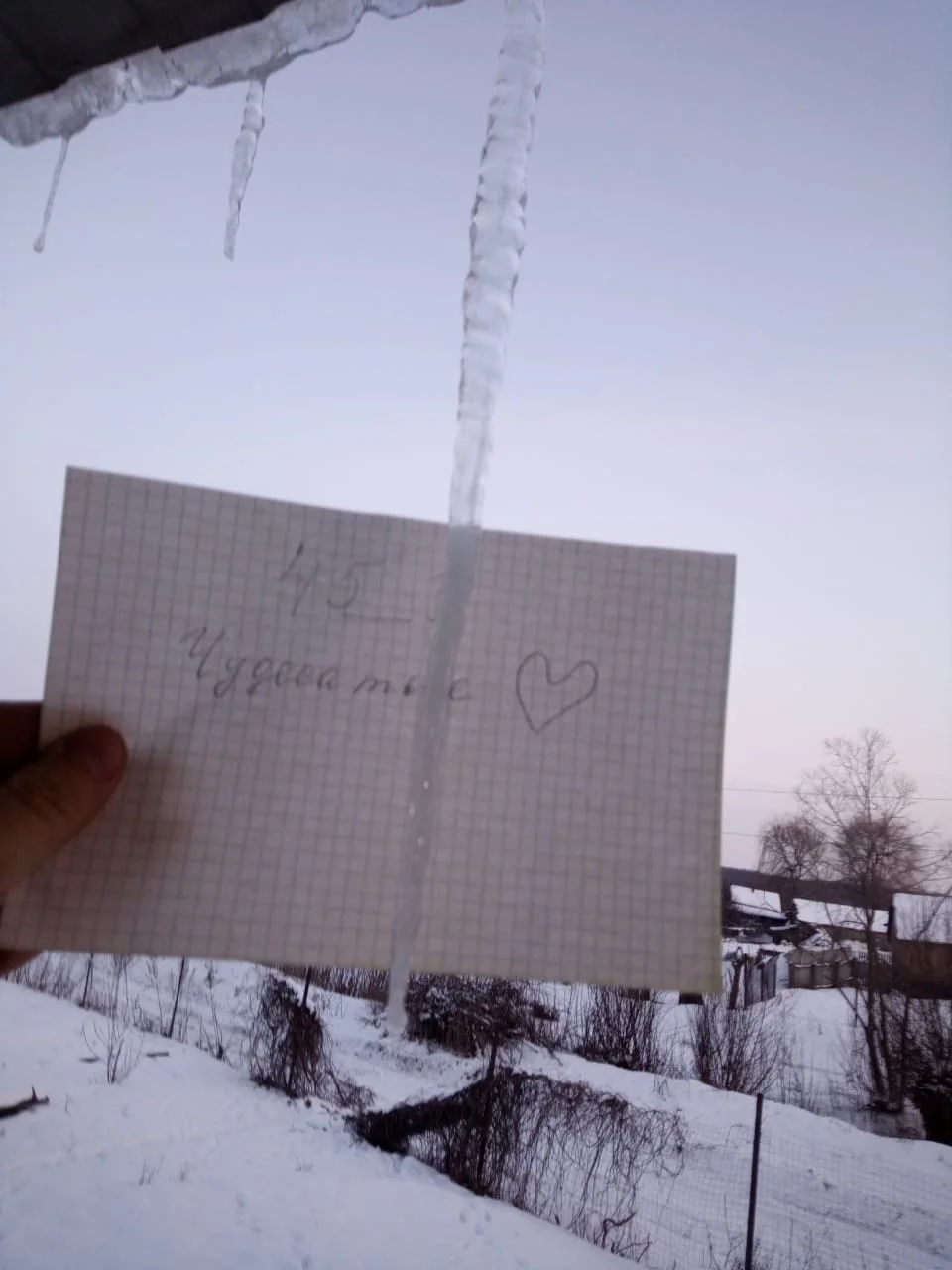 WhatsApp Image 2023-02-06 at 17.10.21.webp