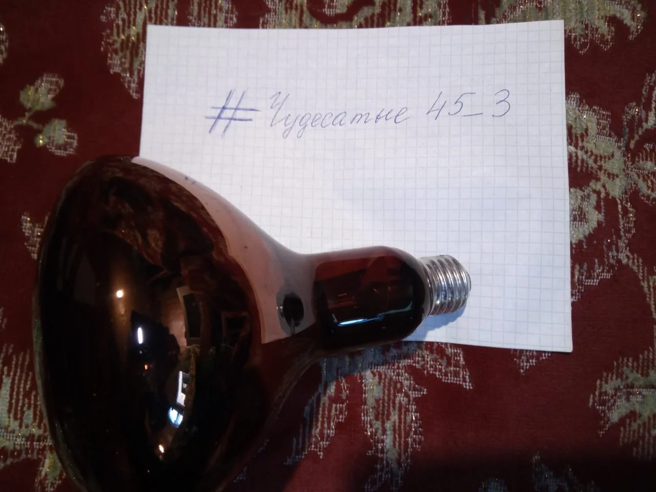 WhatsApp Image 2023-02-09 at 16.17.19.webp