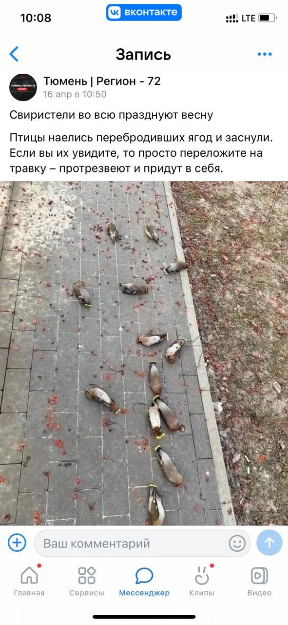 WhatsApp Image 2023-04-19 at 16.33.09.webp