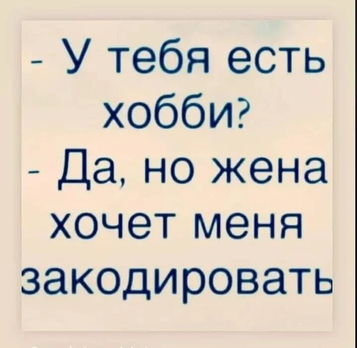 WhatsApp Image 2023-04-19 at 21.02.10.webp