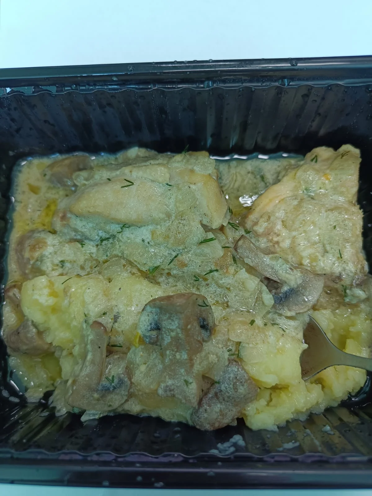 WhatsApp Image 2023-04-21 at 15.08.52.webp