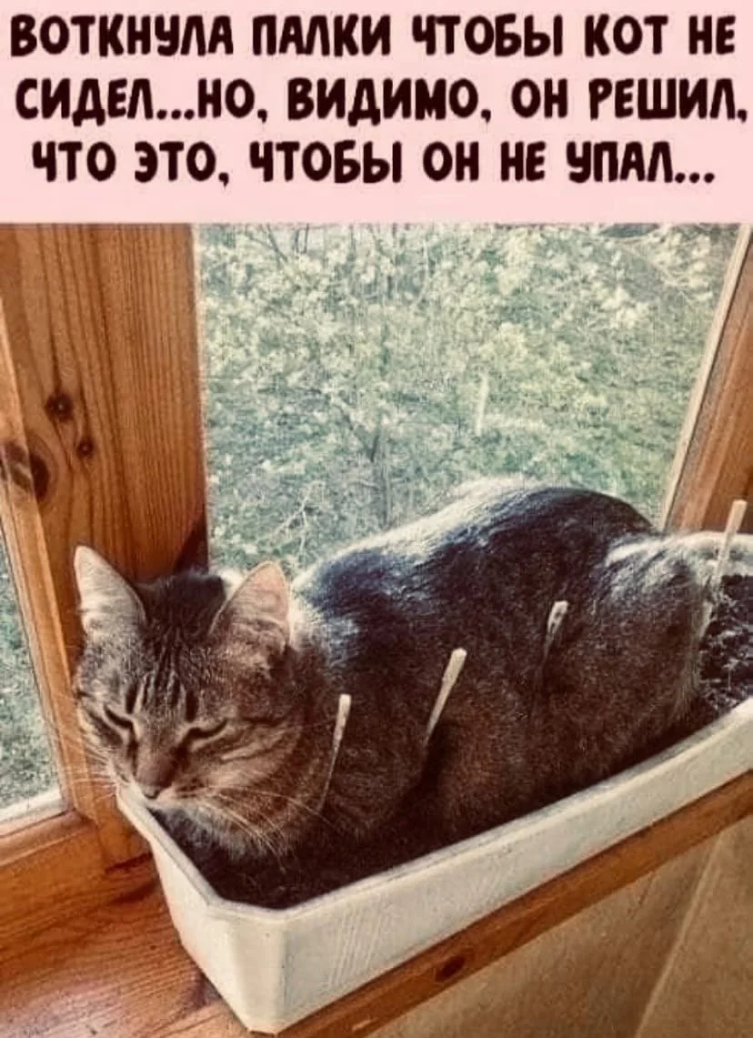 WhatsApp Image 2023-04-22 at 09.29.12.webp