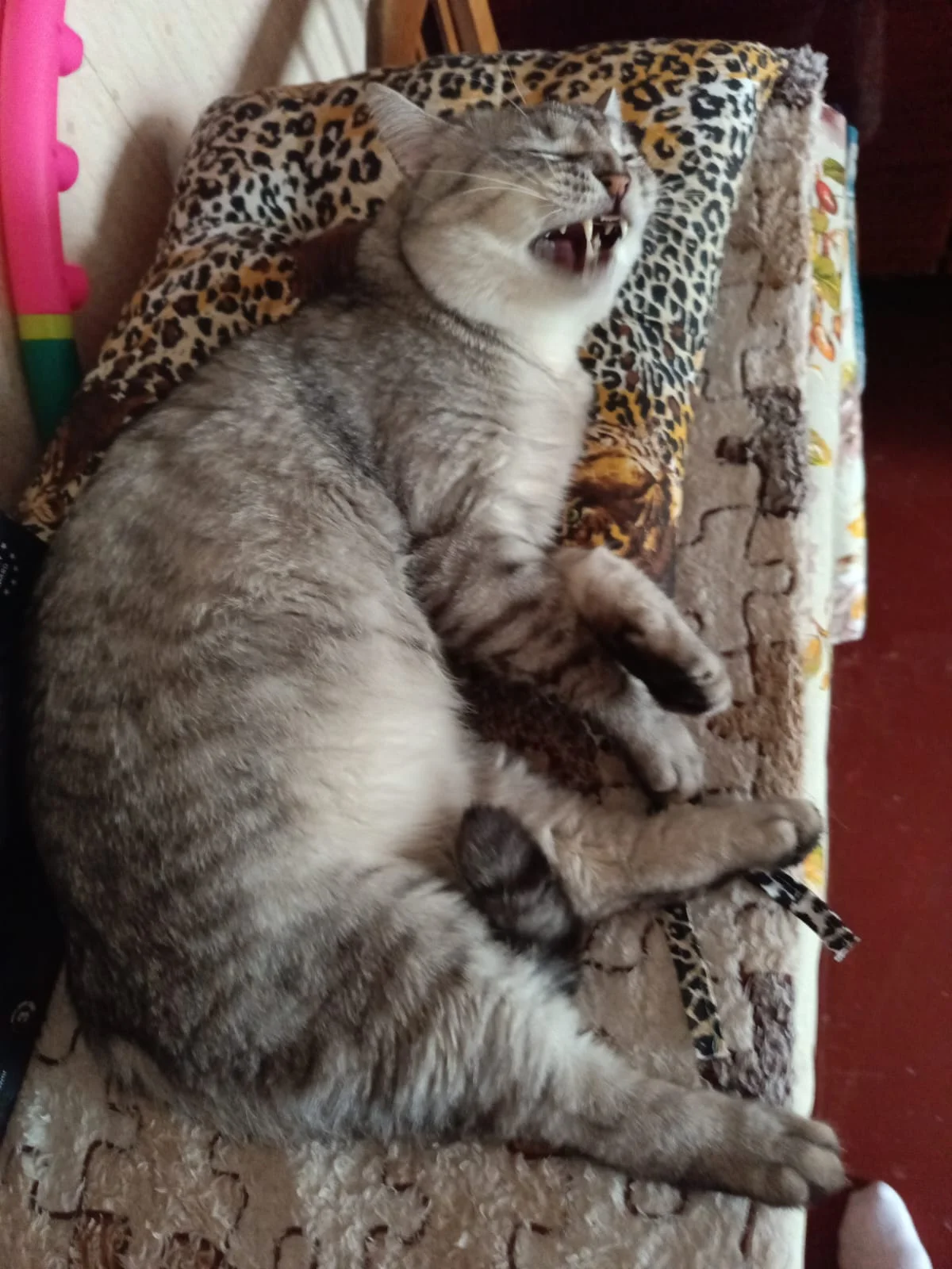 WhatsApp Image 2023-04-30 at 13.43.28.webp