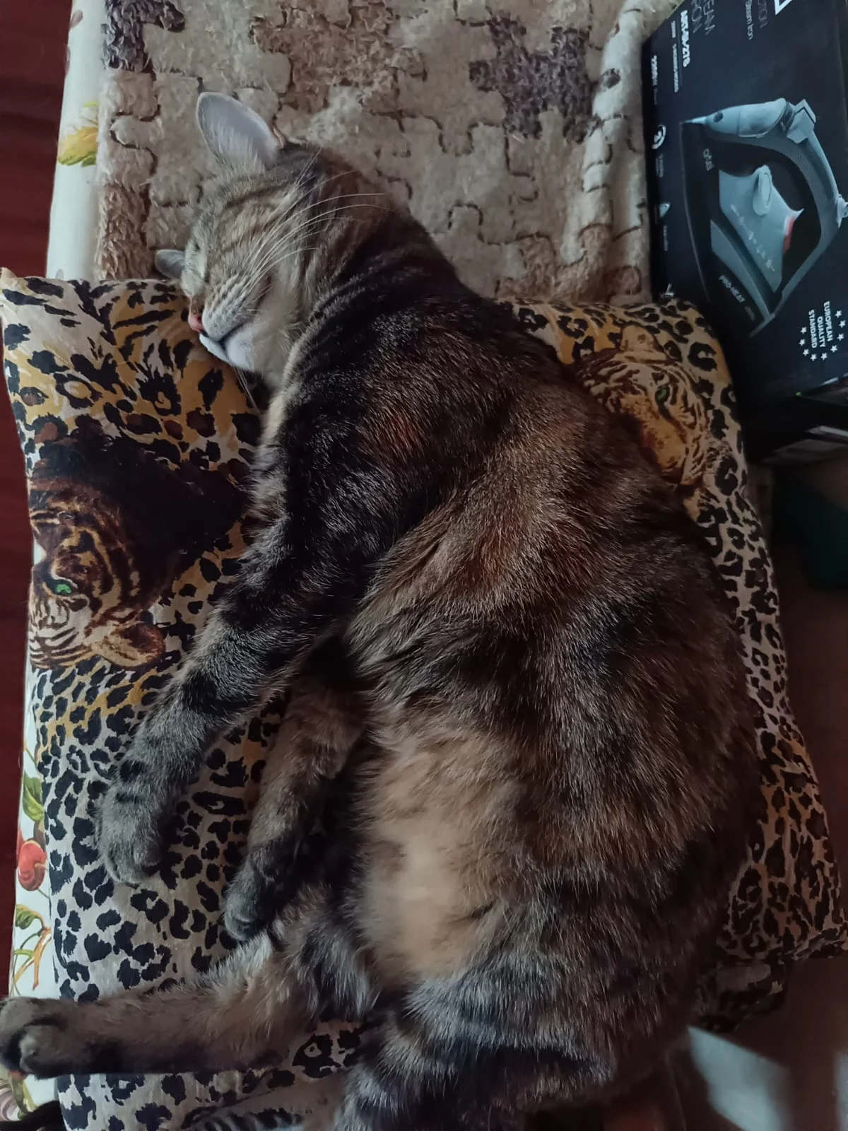 WhatsApp Image 2023-05-05 at 07.09.02.webp