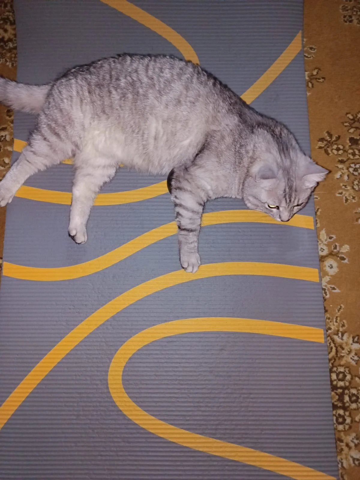 WhatsApp Image 2023-05-10 at 06.31.23.webp