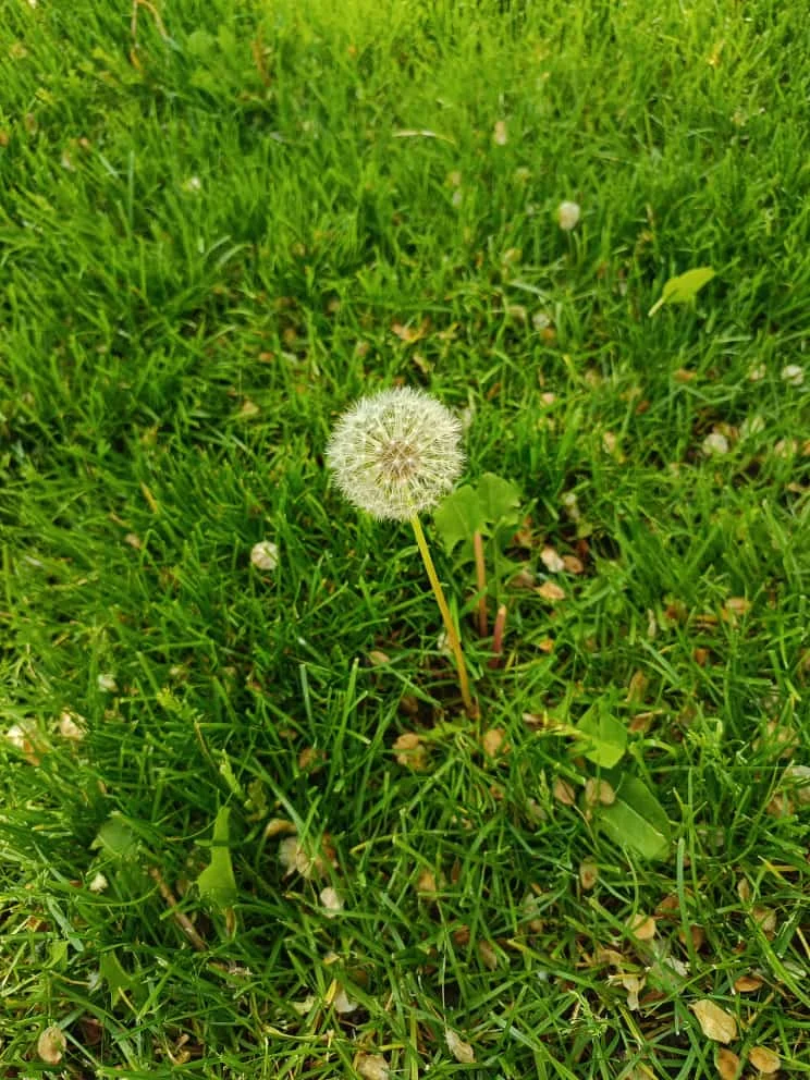 WhatsApp Image 2023-05-15 at 12.03.25.webp