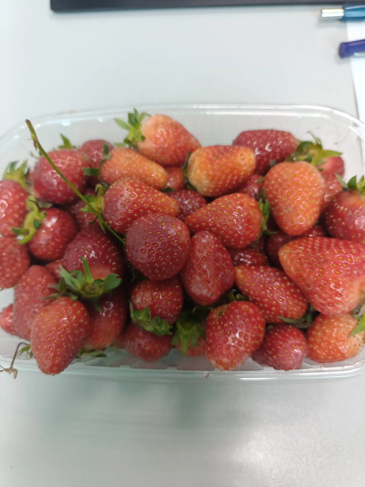 WhatsApp Image 2023-05-15 at 16.05.49 (1).webp