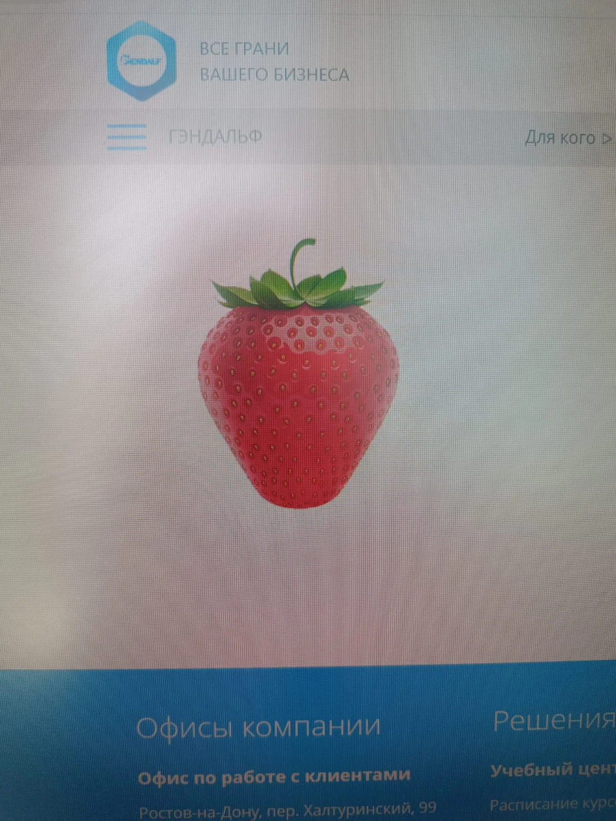 WhatsApp Image 2023-05-17 at 10.52.42.webp