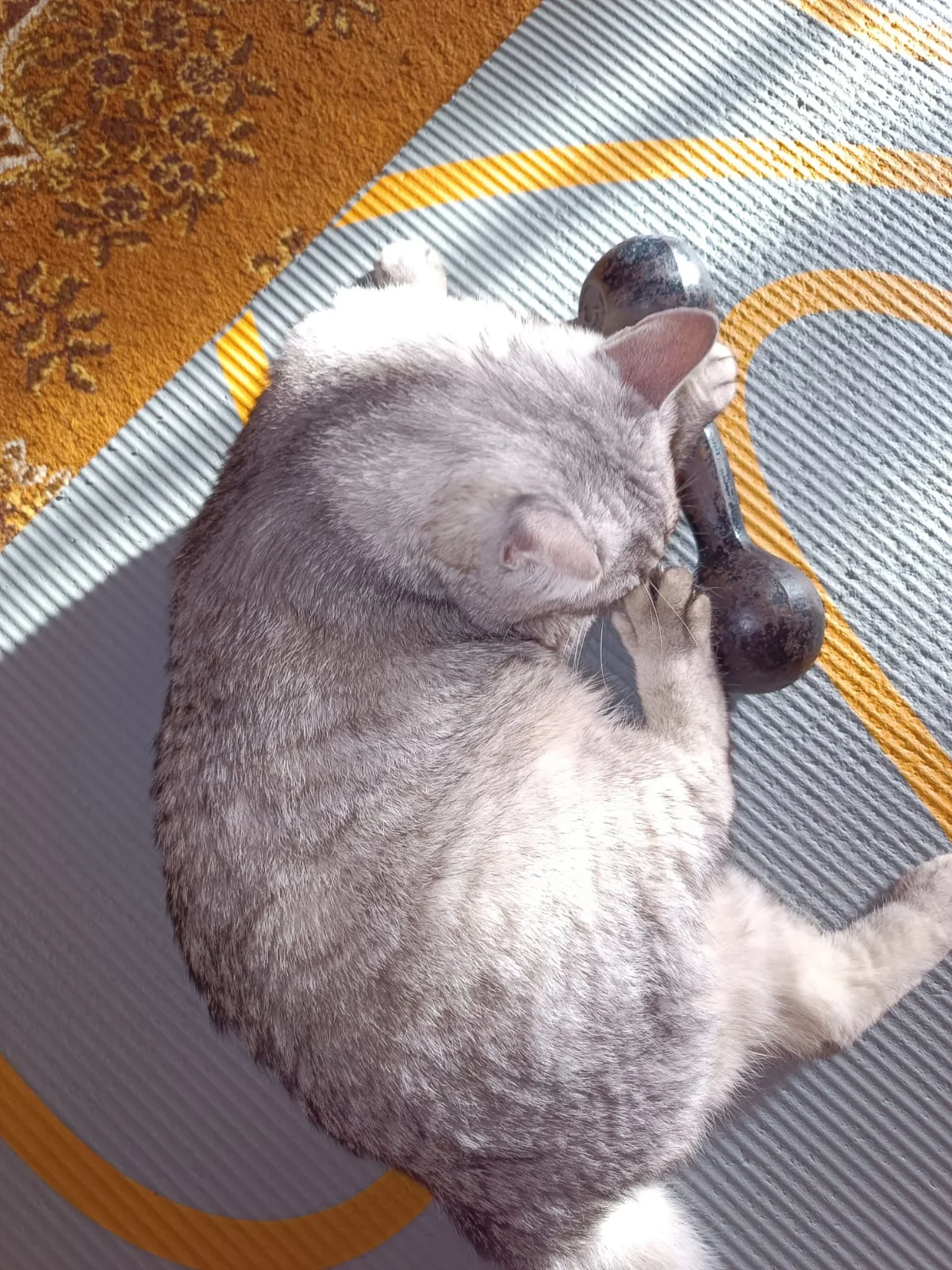 WhatsApp Image 2023-05-22 at 07.06.41.webp