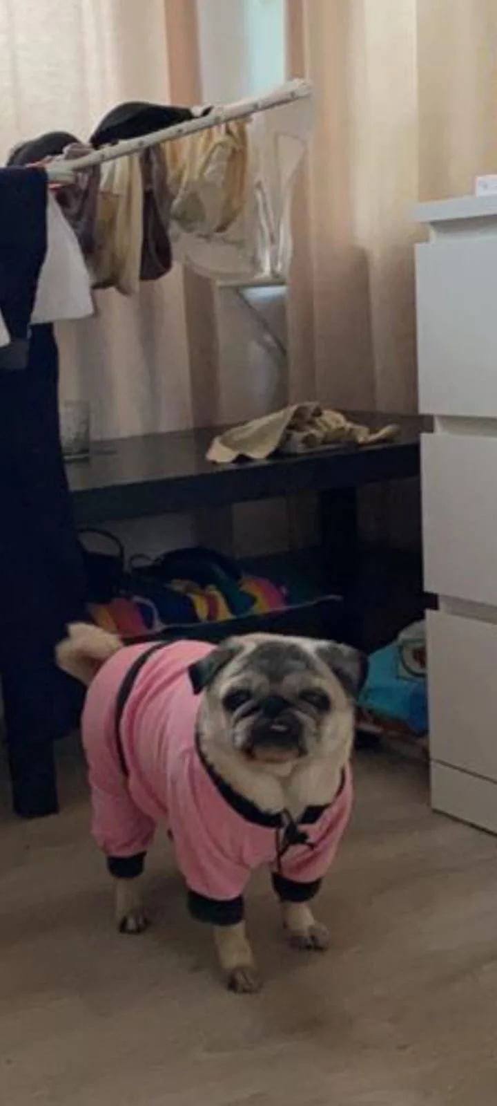 WhatsApp Image 2023-05-22 at 11.04.51.webp