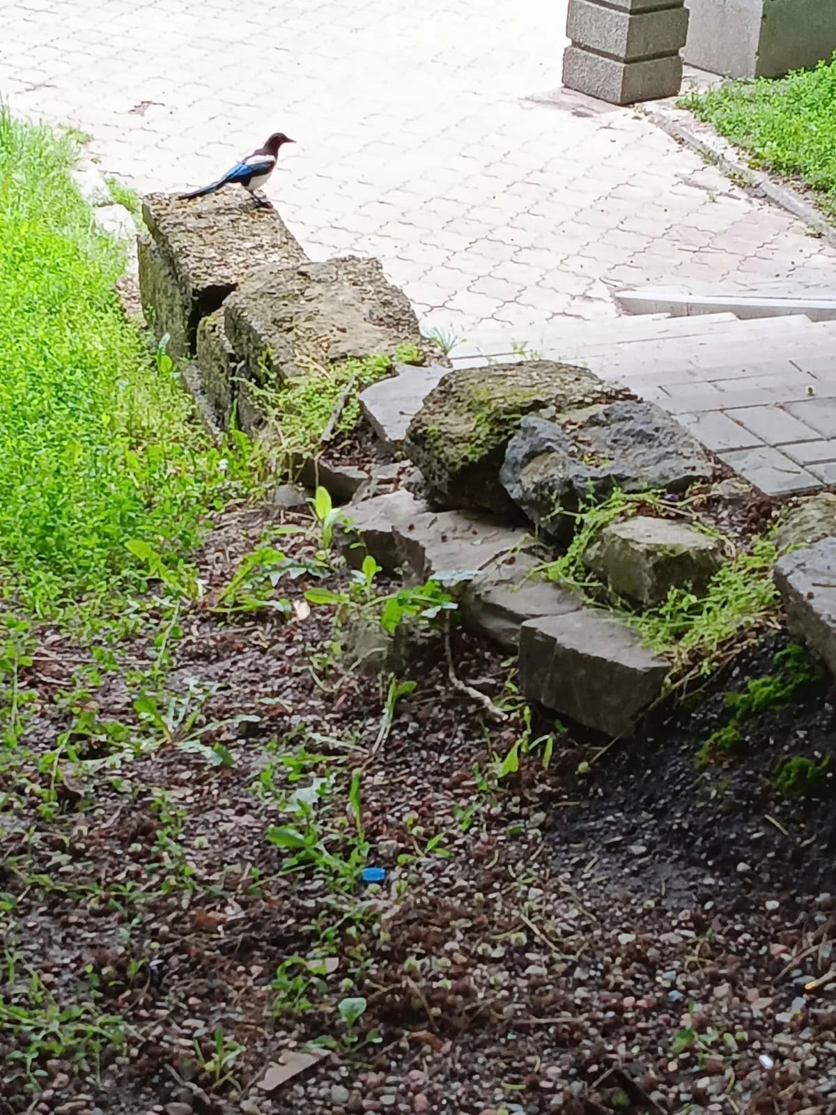 WhatsApp Image 2023-06-02 at 14.13.31.webp