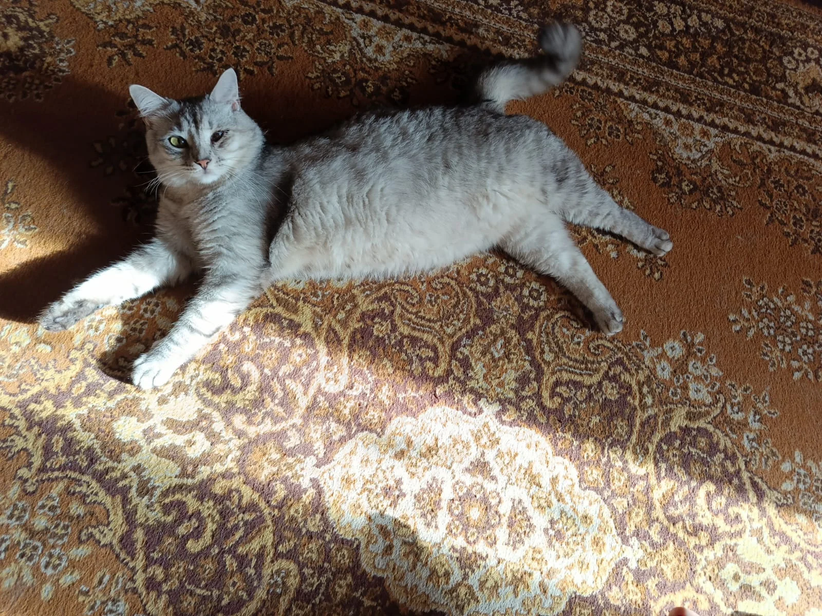 WhatsApp Image 2023-06-08 at 06.57.41.webp