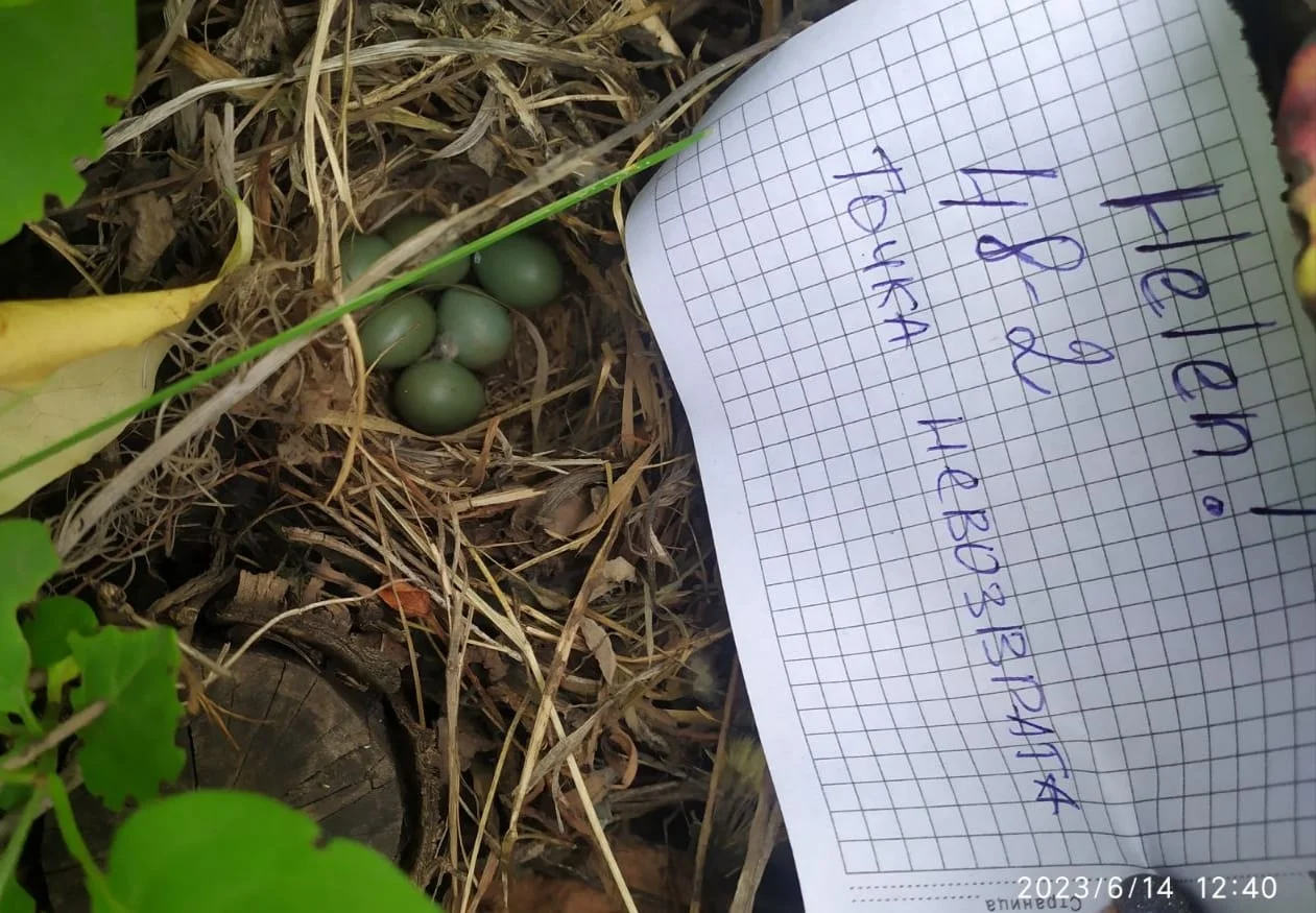 WhatsApp Image 2023-06-14 at 11.53.10.webp