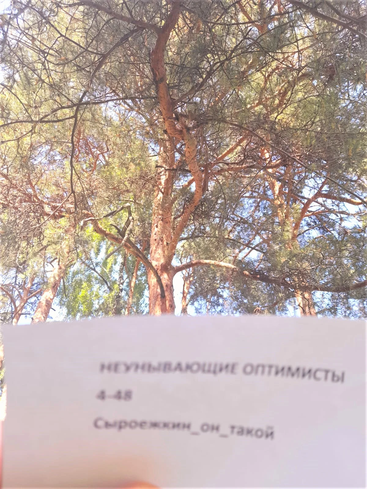 WhatsApp Image 2023-06-14 at 14.33.20.jpeg