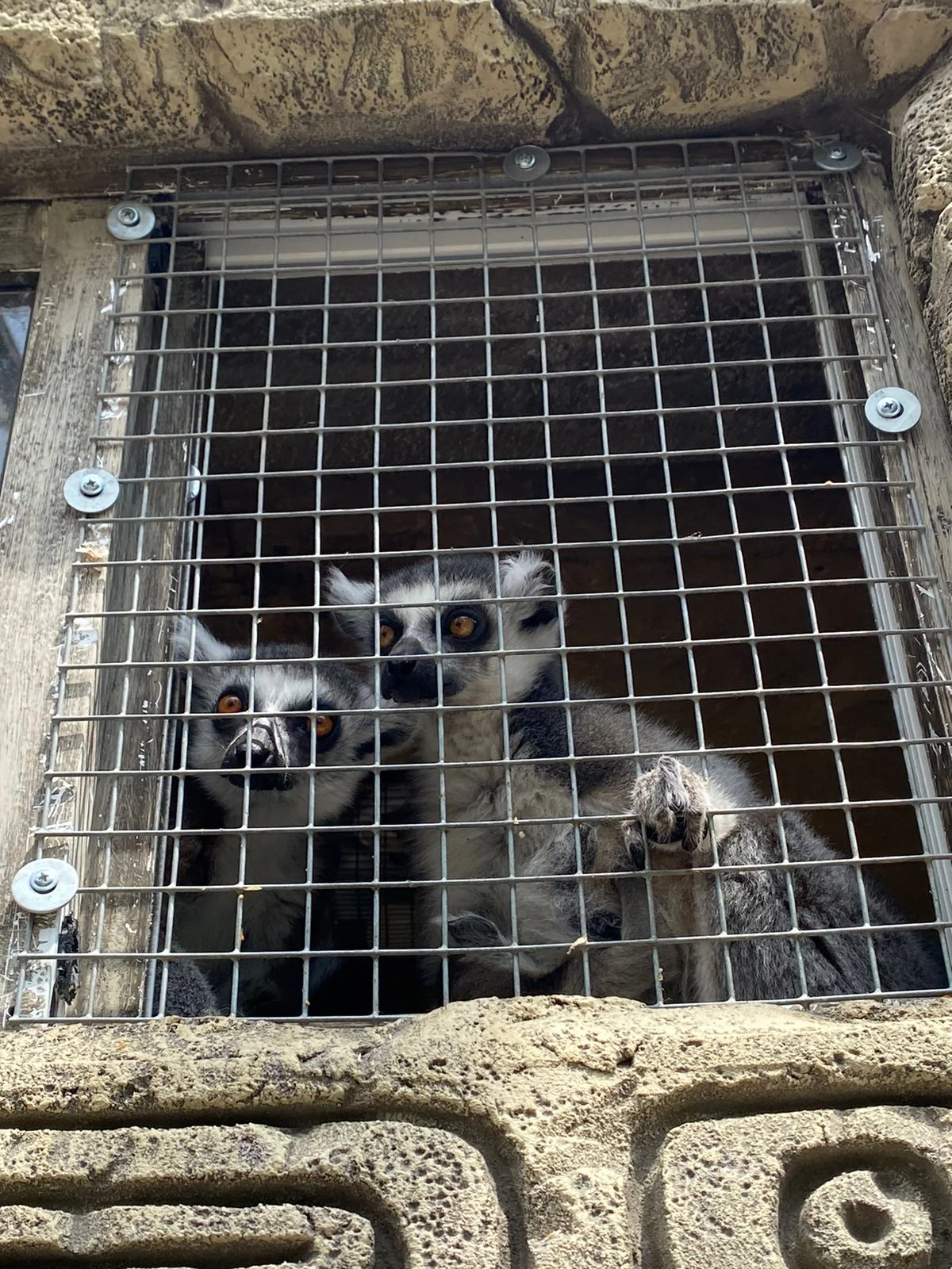 WhatsApp Image 2023-06-18 at 14.08.29.webp