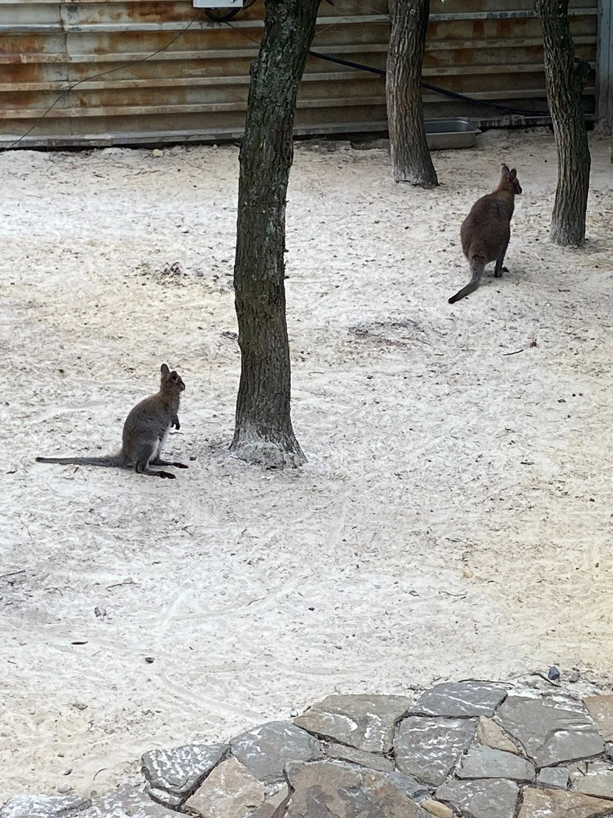 WhatsApp Image 2023-06-18 at 14.25.27.webp