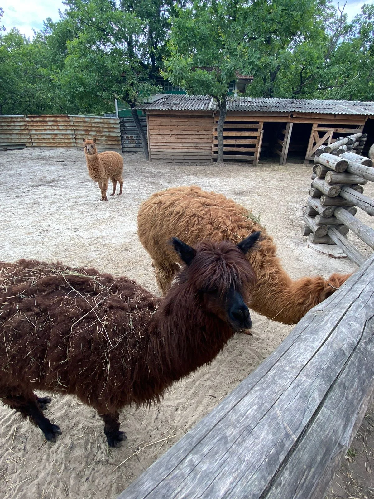 WhatsApp Image 2023-06-18 at 14.25.40.webp