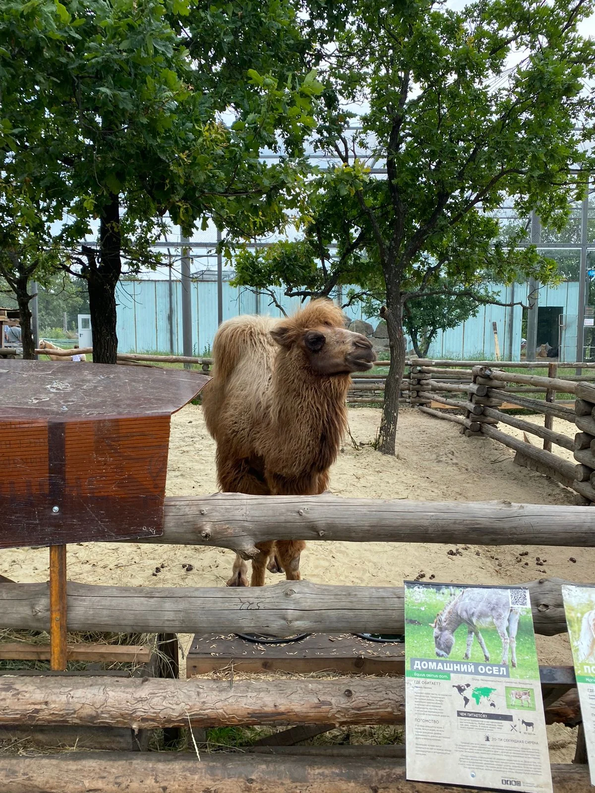 WhatsApp Image 2023-06-18 at 14.25.52.webp