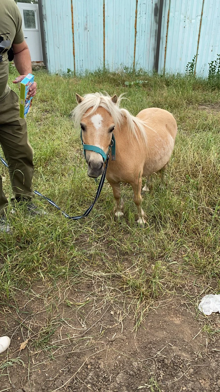 WhatsApp Image 2023-06-18 at 14.26.08.webp