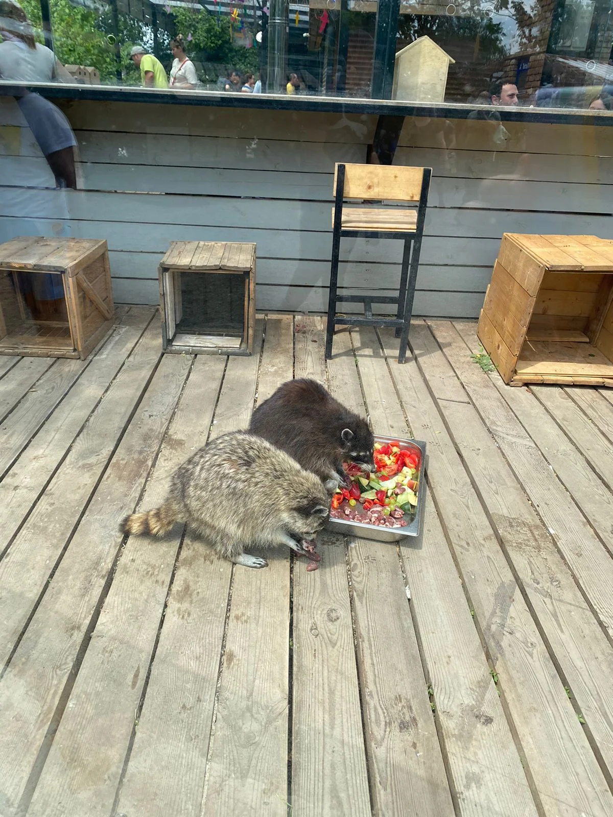 WhatsApp Image 2023-06-18 at 14.26.42.webp