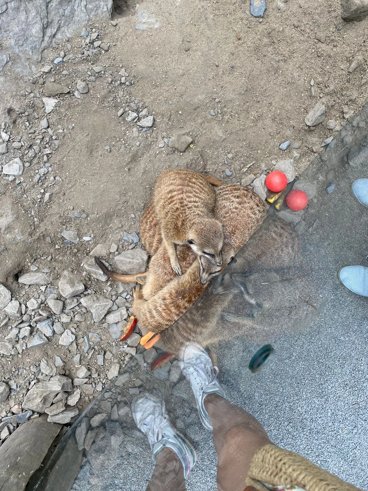 WhatsApp Image 2023-06-18 at 14.27.32.webp