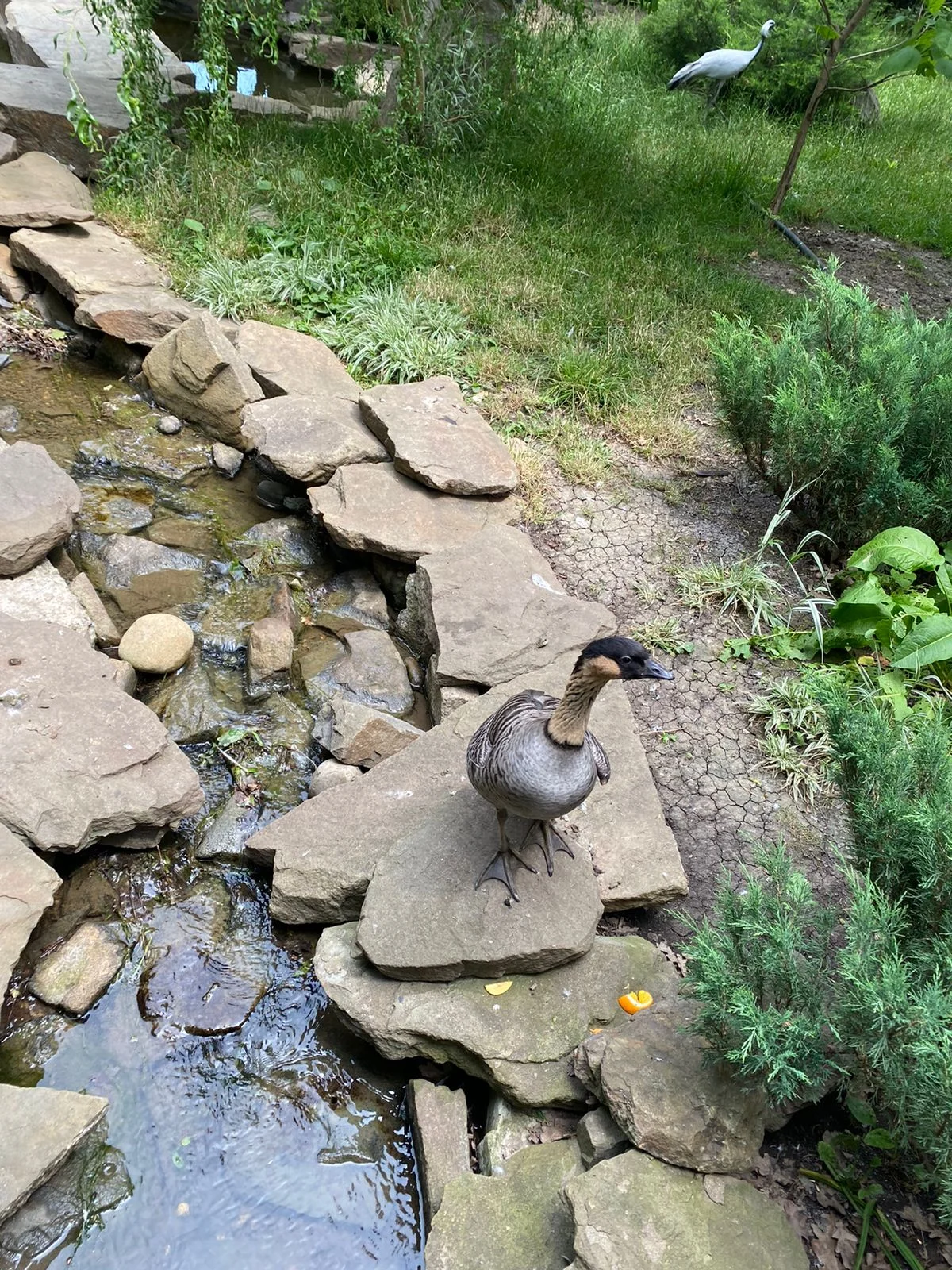 WhatsApp Image 2023-06-18 at 14.28.03.webp