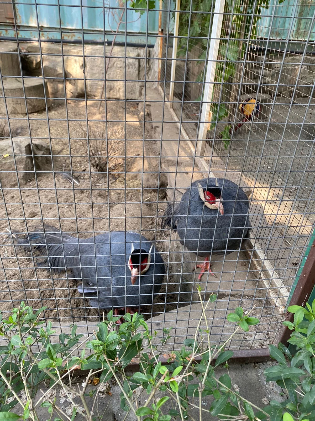 WhatsApp Image 2023-06-18 at 14.28.07.webp