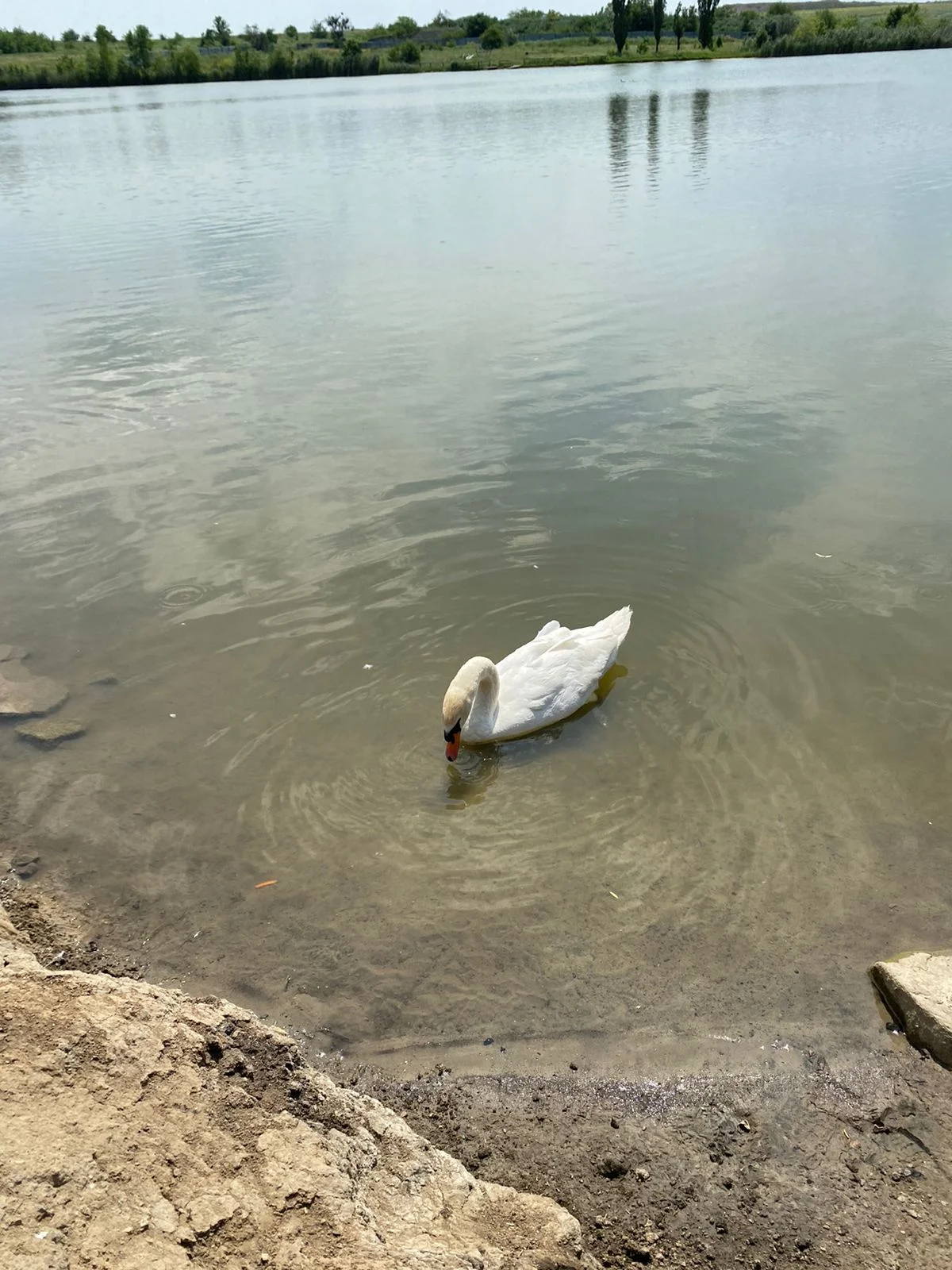 WhatsApp Image 2023-06-18 at 14.28.12.webp