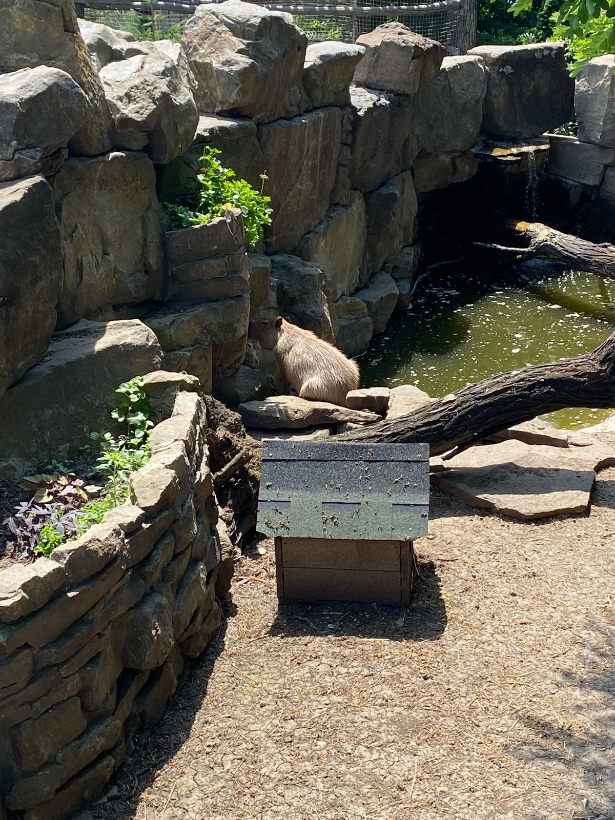 WhatsApp Image 2023-06-18 at 14.28.26.webp