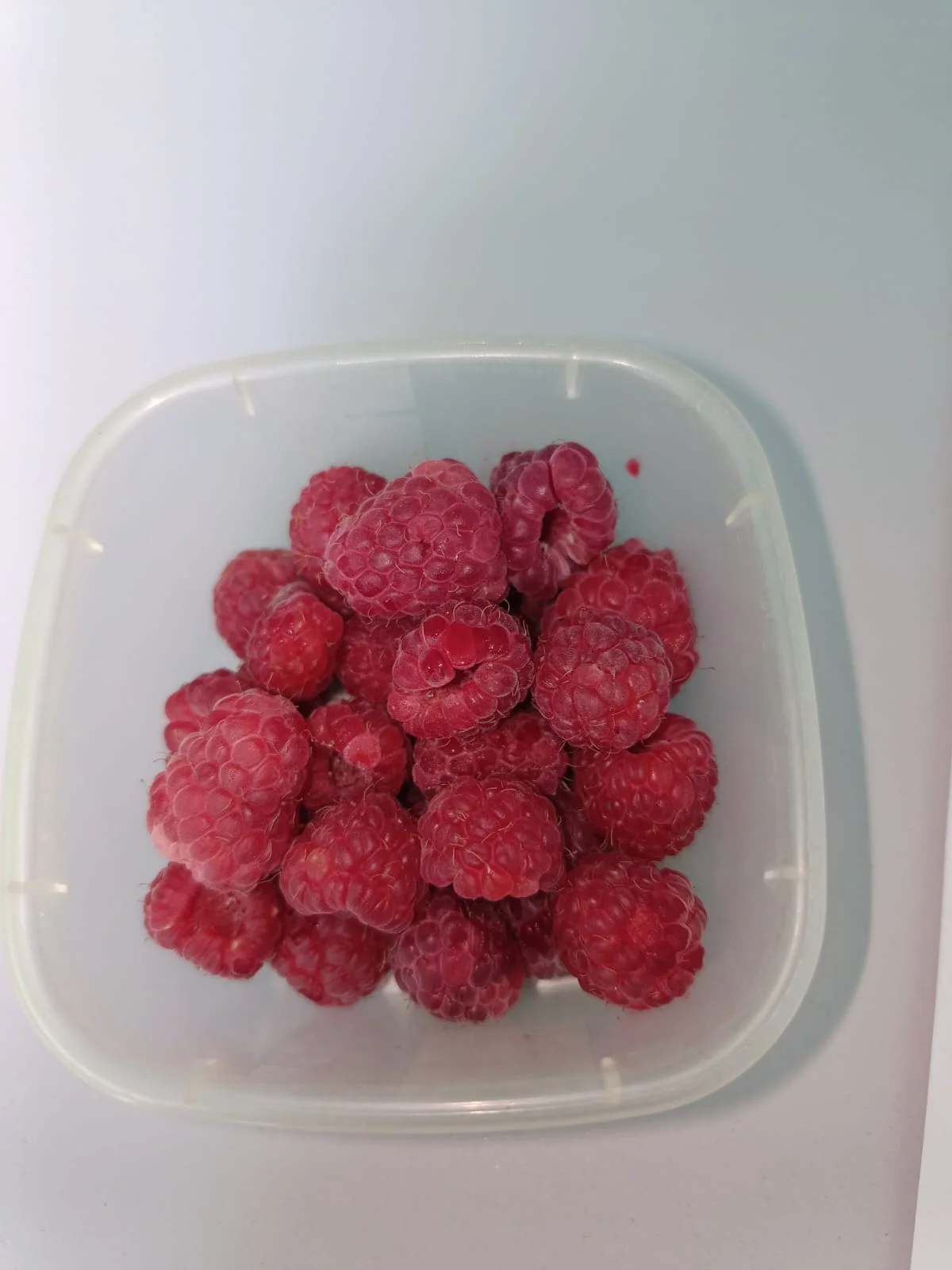 WhatsApp Image 2023-06-23 at 10.26.21.webp