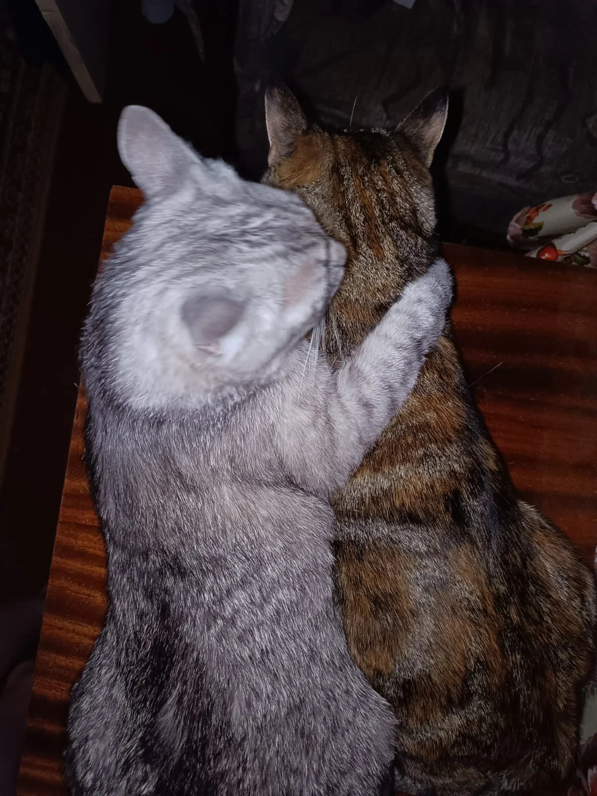 WhatsApp Image 2023-06-27 at 06.55.58.webp